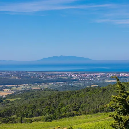 Poggio Di Nocola-2 By Interhome Appartamento *